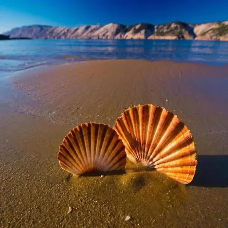 Serene By The Sea