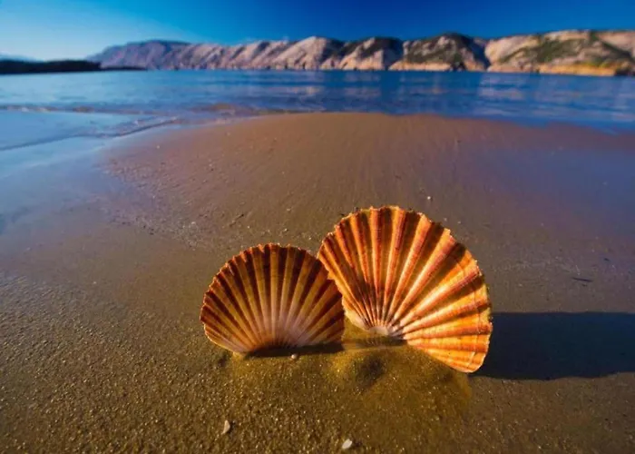 Serene By The Sea